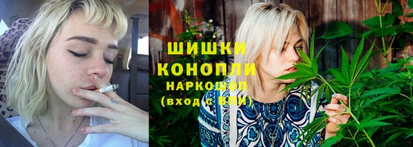 крисы Козловка