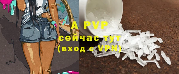 крисы Козловка