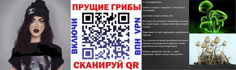 Псилоцибиновые грибы Cubensis  Кашира 