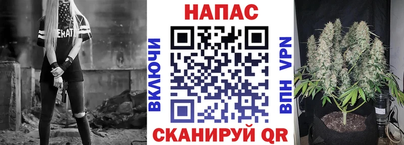 даркнет сайт  МЕГА ссылки  Бошки марихуана план  Кашира 